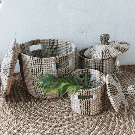 Ảnh của Chậu cói