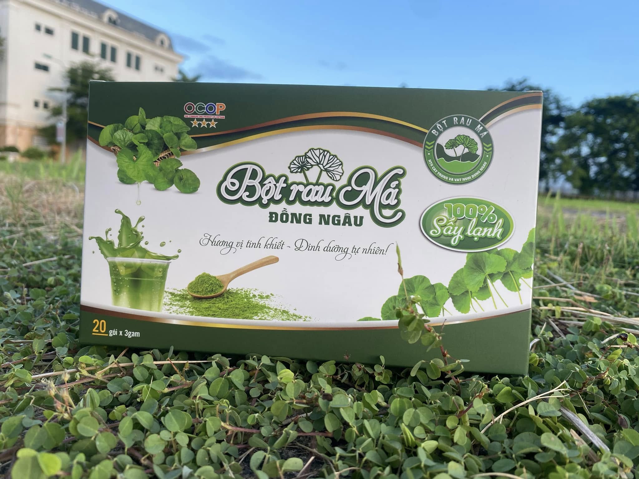 Ảnh của Bột rau má Đồng Ngâu