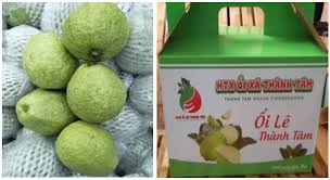 Ảnh của Ổi Lê Thành Tâm